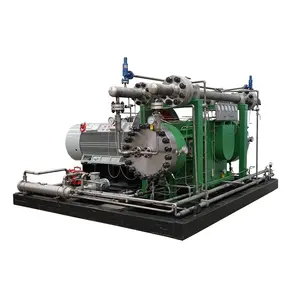 Hoge Prestaties Hoge Automatisering Chloormethaan Gas Compressor Inlaat 6bar Ontlading 250bar Flow 400nm 3/H Membraancompressor