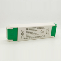 Driver LED encastré dimmable TUV SAA Triac 120v AC 9w 40w 60w 300ma 3v 42v 65v DC Triac Dimming Courant constant