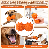 Jouet à mâcher couineur pour chien en bois, mangeoire lente, motif dessin animé mignon, durable, interactif, pour l'entraînement et soulage l'ennui