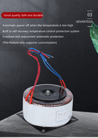 Fabricant chinois 45 0 45 Amplificateur audio Transformateur toroïdal abaisseur de tension