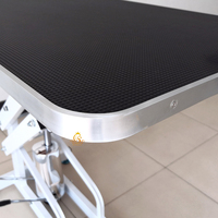 Table de toilettage électrique pour chiens PET pour animaux de compagnie fabriquée en Chine EUR