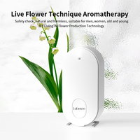 Diffuseur d'arômes portable électrique sans eau personnalisé pour la maison et l'hôtel, avec télécommande, rechargeable, à fixer au mur