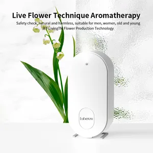 Custom Home Nebulizer Waterless Air Scent Essential Oil Aroma electric portable mini Diffuser Machine wall mount aroma diffuser