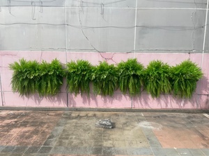 Certificata artificiale appesa <span class=keywords><strong>felci</strong></span> e viti resistente all'aperto erba finta plastica edera pianta appesa certificata resistente - Product Image 6