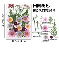 Vente en gros DIY fleurs séchées mélangées plantes maquillage Nail Art téléphone cadre décoration vraies fleurs pressées naturelles pour l'art de la résine