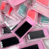 Extensions de cils individuelles en fibre PBT vegan, sans cruauté, naturelles, longues, 0,03 0,05 0,07 8-25 mm, courbure CC DD, étiquette privée, plateau de cils