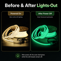 Bande lumineuse LED fluorescente haute tension 230V, 180 LED/m, bande lumineuse qui brille dans le noir, bande LED étanche IP65 pour couloirs et garages