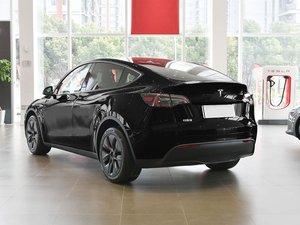 2024 Tesla mô hình y cây bách xù Tesla tầm xa tất cả các bánh xe EV SUV Xe mô hình mới Xe điện tự động hộp số - Product Image 6