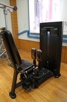 Machine à biceps et triceps DFT Fitness DFT-E690, pile de poids de 100 kg, construction en acier, réglable, durable, universelle