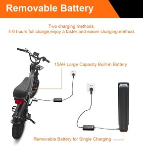 Ruihe Q8 bicicleta eléctrica gruesa para mujeres nueva llegada 20 pulgadas gran oferta bicicleta eléctrica asistida de carretera/ciudad 48V disco de batería de litio - Product Image 6