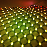 Rideau en maille LED, toile de fond et éclairage de visage, installation pour maison, fête dans l'arrière-cour
