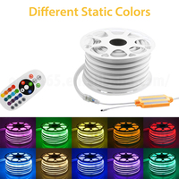 Controlador Remoto Impermeable de 800W/1500W con 24 Teclas para Tiras LED RGB de 220V, Fuente de Alimentación para Luces de Neón de Exterior, Controlador de Iluminación