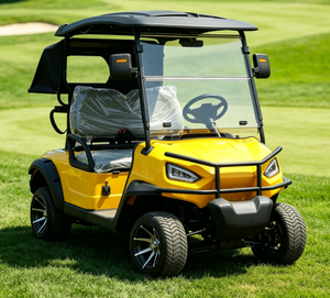 Voiturette de golf basique 6 places pour les excursions quotidiennes - Product Image 4