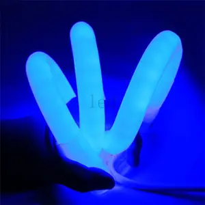 Nhà cung cấp Trung Quốc trang trí ánh sáng môi trường Silicone tráng Led Ngoài Trời ánh sáng 12V LED Neon Flex ánh sáng