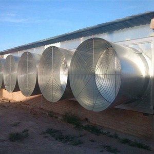 Equipo Avícola Automático para Paraguay: Silo, Comedero, Bebedero y Extrator - Panel de Refrigeración - Controlador para Galpón de Pollos - Product Image 4