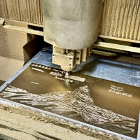 Solutions de marquage à chaud PET personnalisées de marque TPS, modèle DF-13-027, pour l'étiquetage d'emballages uniques, épaisseur 12 microns, tailles sur mesure