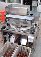 Machine de dénoyautage et d'extraction de noyaux 220V pour palmiers, cerises, abricots, olives, jujubes - Vente en gros