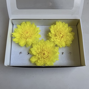 Dahlias naturels préservés faits à la main, fleurs éternelles pour la Fête des Mères, la Saint-Valentin, la remise des diplômes, le Nouvel An, Noël, longue durée - Product Image 3