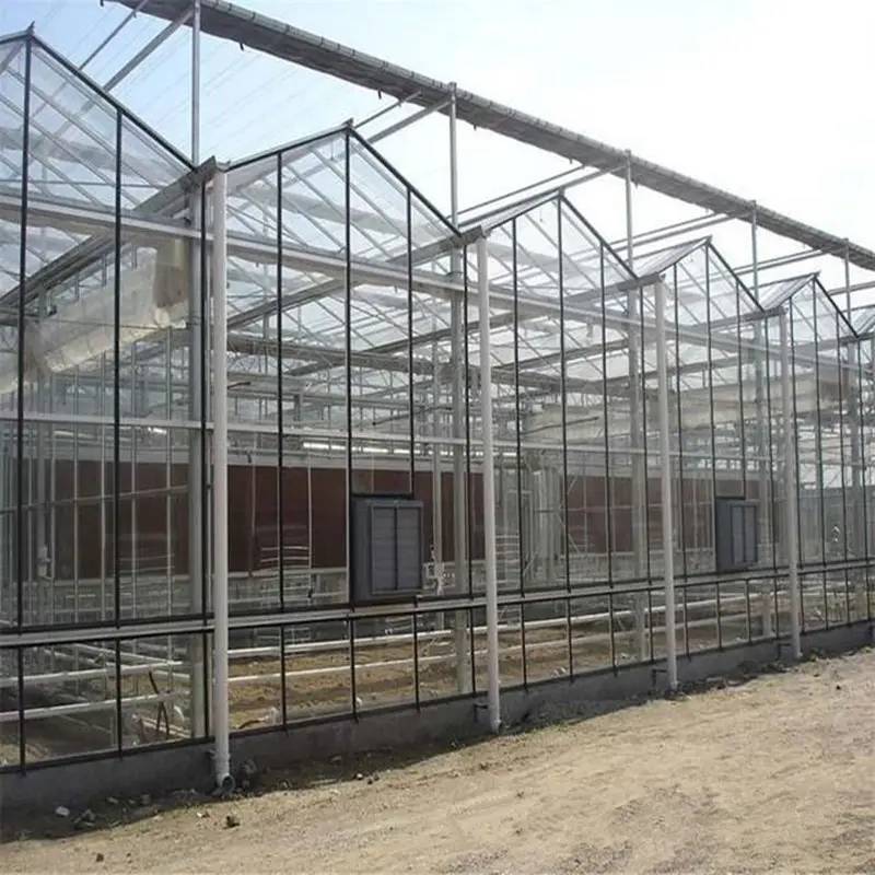 Di alta qualità serra agricola di vetro solare verde casa agricola ombra verde casa per le piante fiori vegetali
