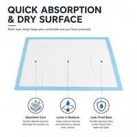 Vente en gros usine de tapis d'entraînement pour chiens et chiots, robustes, écologiques, avec noyau en pâte de cellulose et SAP, absorption rapide, support imperméable IPX7, OEM