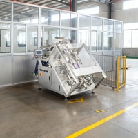 Machine d'emballage alimentaire inclinée automatique Machine d'emballage de produits fragiles Machine de sac à fermeture éclair en plastique