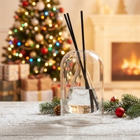 Bouteille diffuseur d'arômes en verre vide de 100 ml, sans plomb, résistante à la chaleur, décorative de luxe, récipient de parfum, vente en gros
