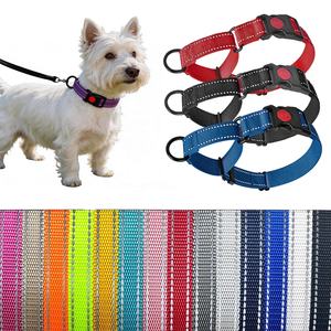 Collare da addestramento per cani OEM su misura, a controllo delicato e anti-soffocamento, con chiusura intelligente a doppio anello per Terrier di taglia piccola e media - Product Image 1