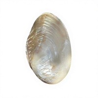 Plateau miroir décoratif en nacre naturelle, fait main, de luxe moderne, pour la décoration intérieure, les hôtels, les restaurants, les cadeaux