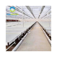 EBB et Flood Bench System Banc roulant 4x4 4x8ft ABS Flow Tray Table roulante pour plantes médicales en serre et en entrepôt
