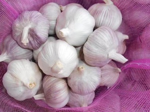 Fornitore all'ingrosso di aglio fresco nuovo, aglio bianco normale, aglio in sacchi e scatole, aglio G1, produttore di aglio viola di buona qualità Jinxang - Product Image 2