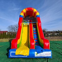 Toboggan gonflable écologique commercial avec PVC haute résistance pour les parcs à thème et les entreprises de location d'événements de carnaval