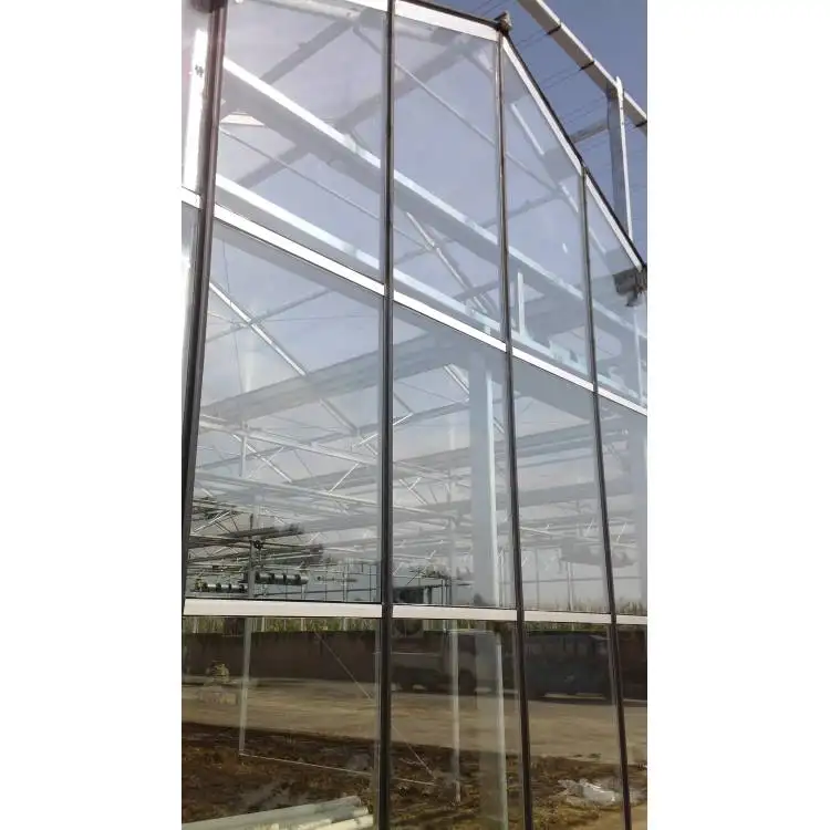 Tomada de fábrica agricultura multi-span vidro greenhouse hidropônico