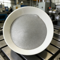 Poudre d'alliage Haynes NS 163 haute performance pour applications industrielles à haute température et métallurgie des poudres