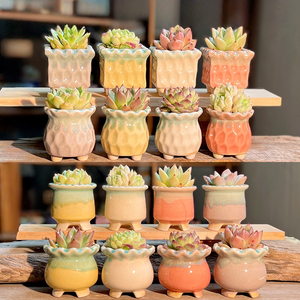 Maceta de Cerámica Ecológica con Degradado de Color Macaron, con Orificio de Drenaje, Decoración Creativa para Interiores - Product Image 1