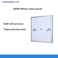 Paneles Solares Monocristalinos de Silicio de 300 Vatios, Color Personalizado, Precio de Fábrica en China, Garantía de 25 Años, 182 mm * 92 mm