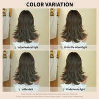 Pelucas de Cabello Sintético de 20 Pulgadas, Color Marrón Ceniza Oscuro con Reflejos Plateados, Fibra Resistente al Calor, Aspecto Natural Mate