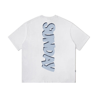 OEM Fabricante Street Wear Graphic Tees Unisex Hombres Mujeres Imprimir Camiseta Personalizada Heavyweight Boxy T Shirt