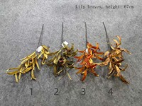 Daun Loquat Plastik Tiruan Grosir, Daun Lily, Daun Maple, Daun Kering Abadi, Bunga Kering