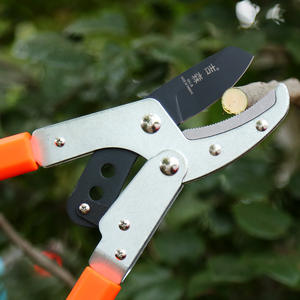 Sécateur télescopique Gisen 50 cm en alliage d'aluminium, structure papillon, lame en acier inoxydable pour la taille des arbres de jardin - Product Image 5