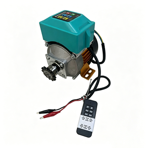 Motor CC sin escobillas BLDC de alta eficiencia y baja velocidad 500W 650W 800W 12V con control remoto y freno para cabrestante - Product Image 3