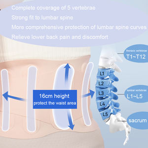 Nuevo Diseño Profesional, Cinturón de Soporte Lumbar Ligero de Nailon Ajustable y Transpirable para Alivio del Dolor - Product Image 2
