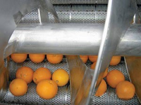 CE ISO gecertificeerde industriële productielijn voor het extraheren van essentiële olie uit sinaasappel- en citroenschillen