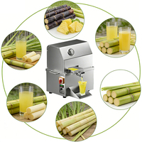 Exprimidor de Caña de Azúcar Vertical YYHB con Ruedas - 1100W de Alta Productividad para Mercados de Ramadán en Malasia, Fácil de Montar y Desmontar