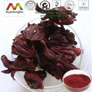 Pure Nature 1% ~ 5% Antho cyanidine, 10: 1,20: 1 Roselle Calyx Extrakt Pulver Roselle Extrakt