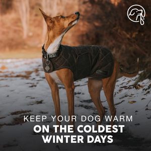 Qiqu fournisseur personnalisé nouveau concepteur de luxe animaux de compagnie veste en cire confortable <span class=keywords><strong>chien</strong></span> manteaux <span class=keywords><strong>pour</strong></span> temps froid <span class=keywords><strong>chien</strong></span> hiver résistant à l'eau veste - Product Image 3