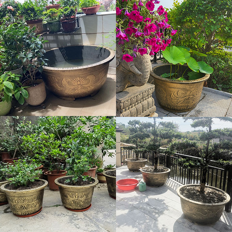 How to Choose Large Plant Pots 700L: Ultimate Buyer's Guide