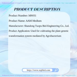Medio AAM Utilizado para Cultivo en <span class=keywords><strong>el</strong></span> Sistema de Transformación Genética de Plantas Mediado por Agrobacterium - Product Image 2