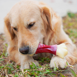 Juguete de hueso para masticar para perros Tian Zhe, 17,5*7*4 cm, para limpieza de dientes y entrenamiento - Product Image 4