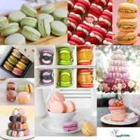 Machine de dépose automatique multifonctionnelle pour cupcakes, gâteaux éponge, macarons et profiteroles, à haute efficacité