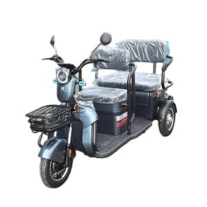 Tricycle électrique portable 48V/60V 600W pour les loisirs domestiques, <span class=keywords><strong>petit</strong></span> véhicule à trois roues à carrosserie ouverte pour adultes - Product Image 5